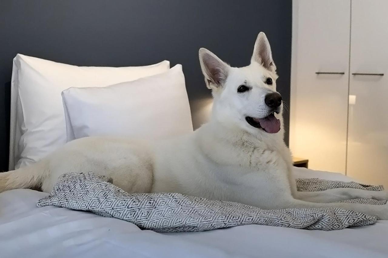 Hotel Matts Espoo Eksteriør billede